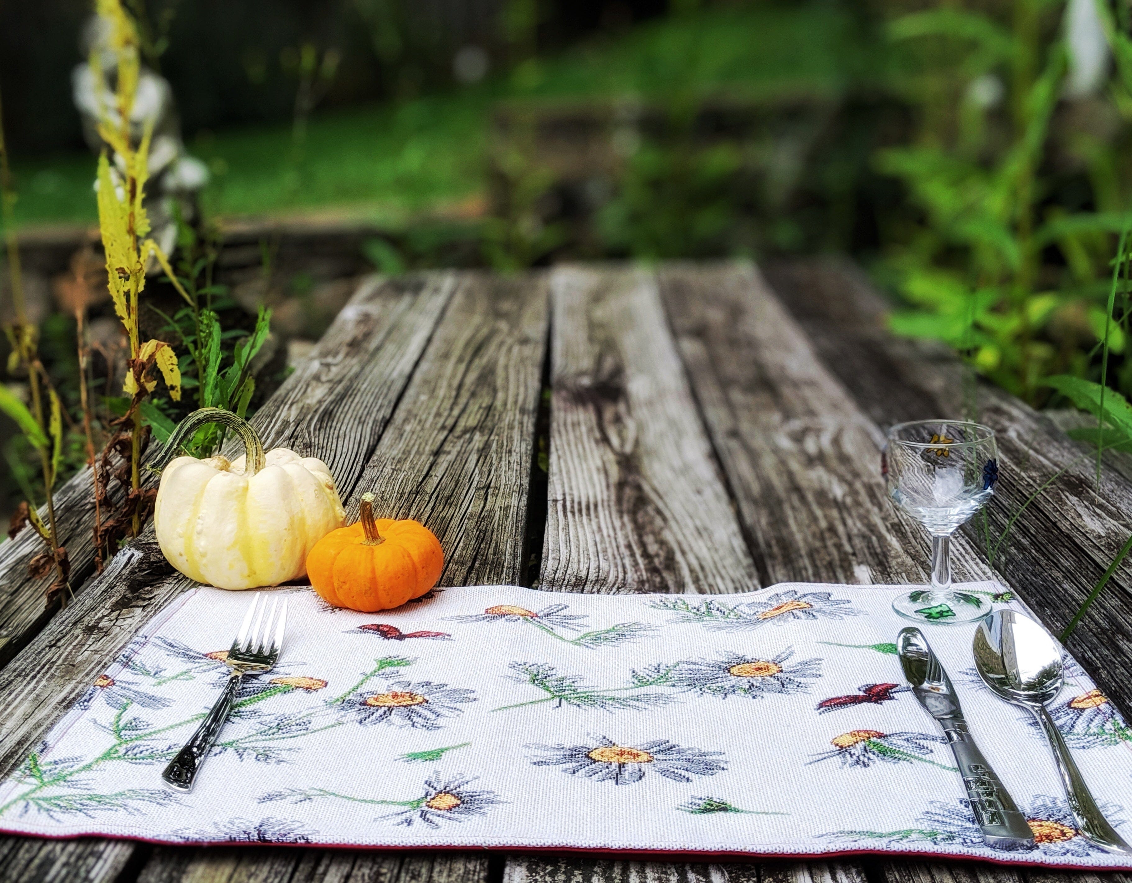 Tache Floral Daisies Ladybugs Woven Tapestry Placemat Set (18114) - Tache Home Fashion