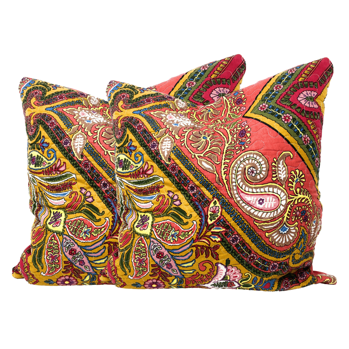 Tache Intricate Floral Paisley Chevron Hanging Gardens Cushion Cover 2-Pieces (HS3148) - Tache Home Fashion