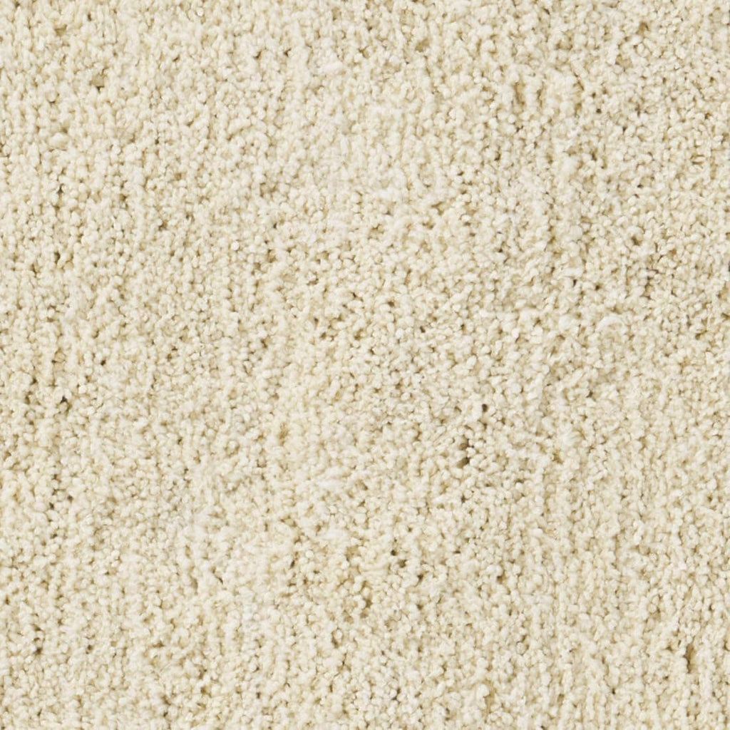 Vanilla Rug Tache Super Absorbent Microfiber French Vanilla Rug